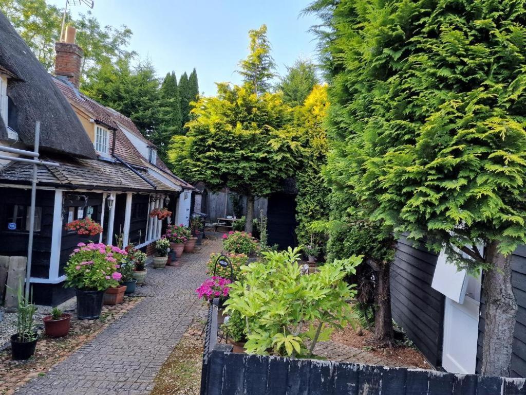 Bed and Breakfast Abingplough House Abingdon-on-Thames Zewnętrze zdjęcie